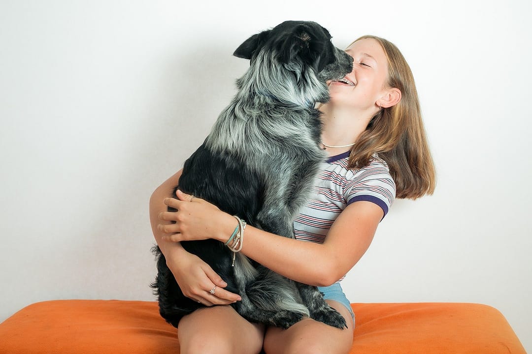 Hund sitzt auf dem Schoß bei einem Mädchen