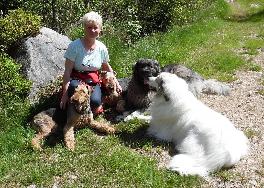 Eine Frau sitzt mit vier Hunden im Waldweg auf dem Boden