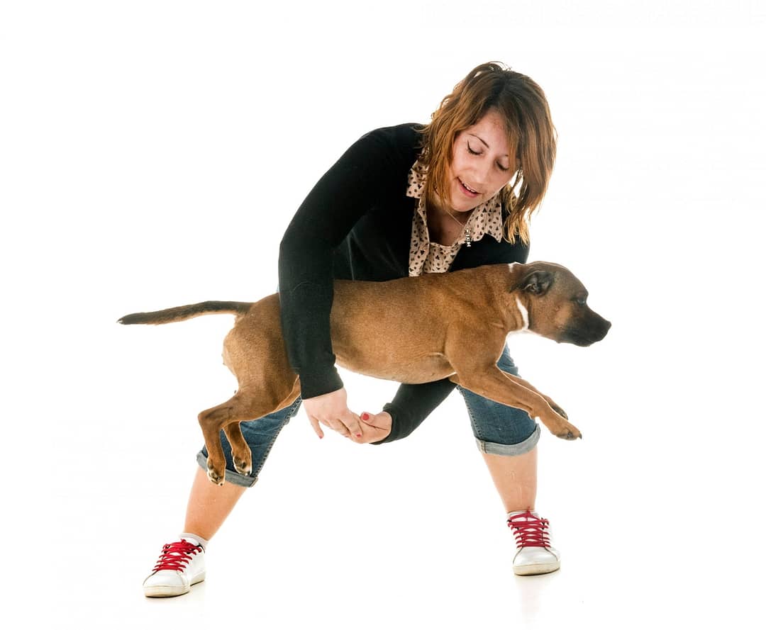 Hund springt durch die Arme